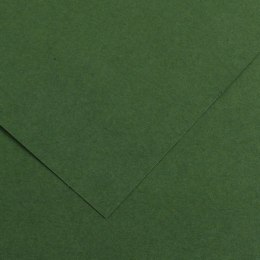 Karton COLORLINE 150g 50*65c.zielony 31(10) 2000410306 CANSON
