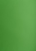 Karton kolorowy A3 160g 25ark zielony 400150241 OXFORD