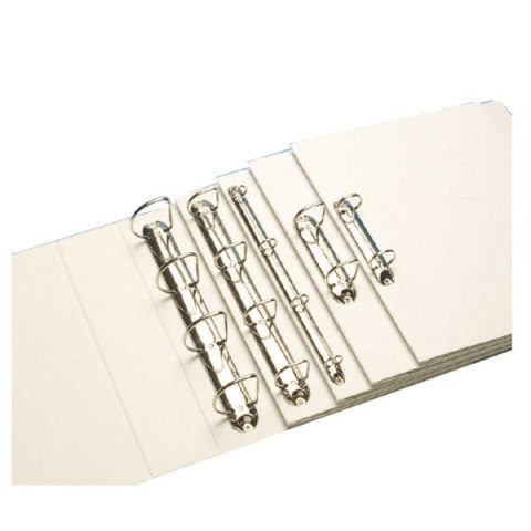 Segregator PANORAMA A4 4DR/40 63mm niebieski ESSELTE 49762 Segregator PANORAMA A4 4DR/40 63mm niebieski ESSELTE 49762