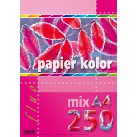 Papier kredowy A4 FLUO mix 5 kolorów (250 arkuszy)5kol KRESKA Papier kredowy A4 FLUO mix 5 kolorów (250 arkuszy)5kol KRESKA