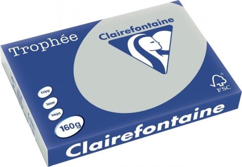 Papier xero A3 160g szary 1065 TROPHEE 250ark (X) Papier xero A3 160g szary 1065 TROPHEE 250ark (X)