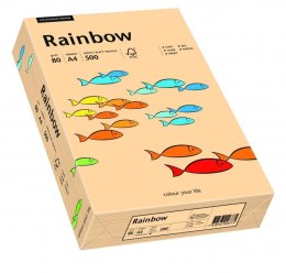 Papier xero kolorowy RAINBOW łosiosiowy R40 88042497