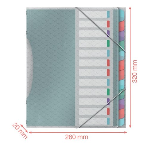 Teczka segregująca Esselte ColourBreeze, z 12 przekładkami 626256 Teczka segregująca Esselte ColourBreeze, z 12 przekładkami 626256