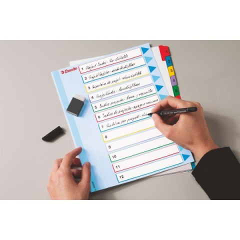 Przekładki kartonowe MYLAR A4 MAXI 1-5 ESSELTE 100207 Przekładki kartonowe MYLAR A4 MAXI 1-5 ESSELTE 100207