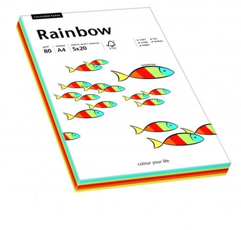 Papier xero kolorowy RAINBOW mix Intensywny odcień 88043188 Papier xero kolorowy RAINBOW mix Intensywny odcień 88043188