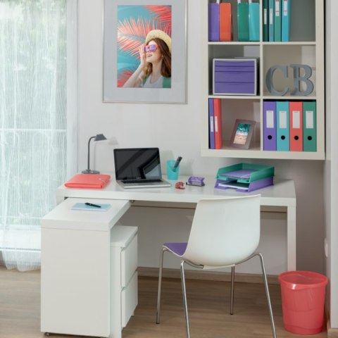 Album ofertowy Esselte ColourBreeze, z 80 koszulkami, koralowy 628445 Esselte Album ofertowy Esselte ColourBreeze, z 80 koszulkami, koralowy 628445 Esselte